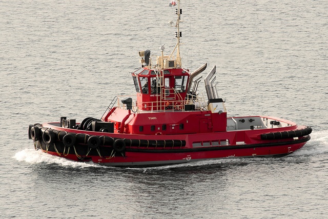party boat wellington harbour 38 best tug boats images on pinterest boats sailing party boat wellington harbour 38 best tug boats images on pinterest boats sailing