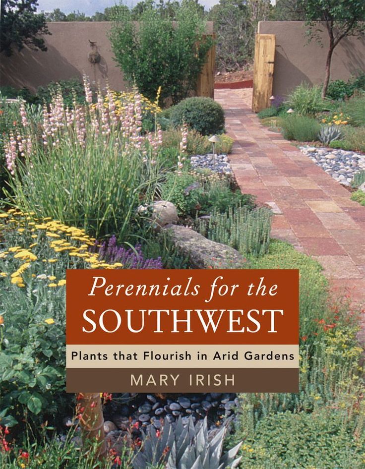 Texas Style Front Yard Landscaping Ideas 38 | Xeriscape front yard