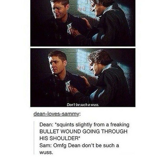 best 25 supernatural memes tumblr ideas on pinterest d9fb0595210085b4886a8c5c2d6fd919 supernatural memes supernatural text post best 25 supernatural memes tumblr ideas on pinterest,Text Memes Tumblr