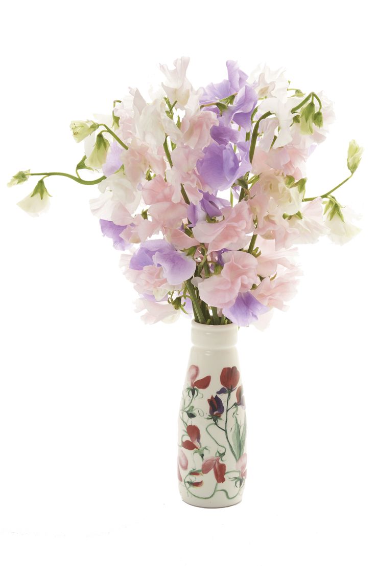 Unwins seeds sweet peas recipes Unwins seeds sweet peas recipes