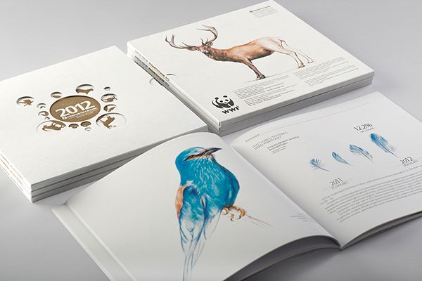 informational booklet design