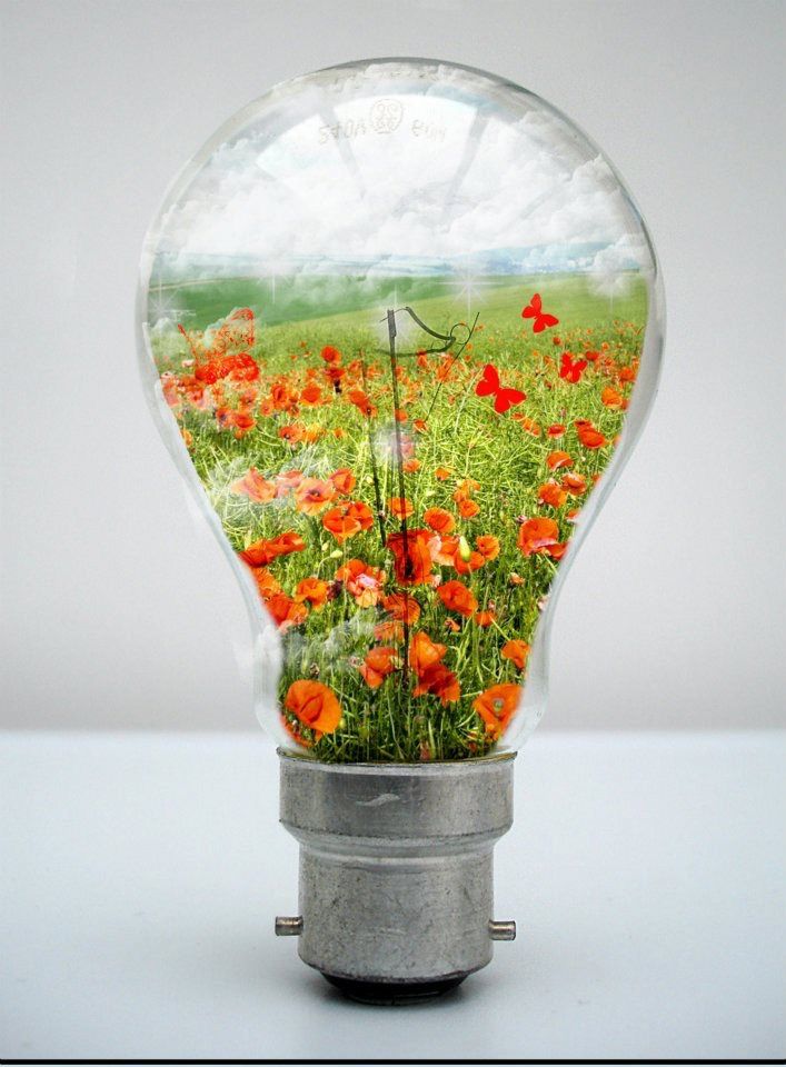 Pin by Annie Christie on Lightbulb Crafts | Photo manipulation, Light