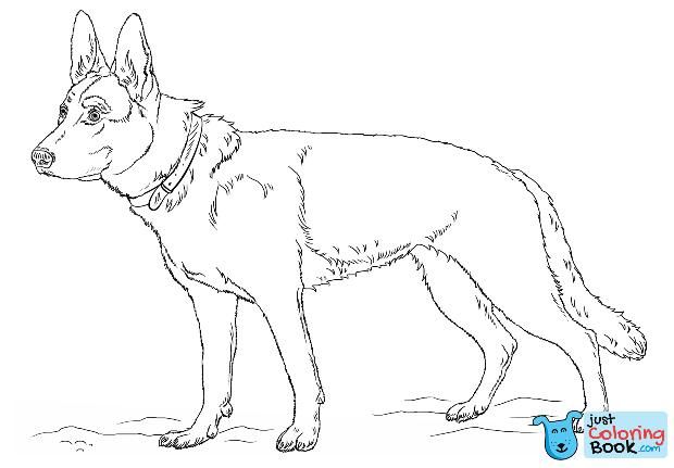 Pin On Dog Coloring Pages