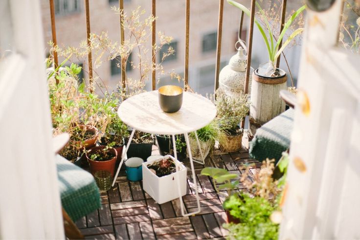 How to Grow an Eco-Friendly Balcony or Rooftop Food Garden - The Herb
