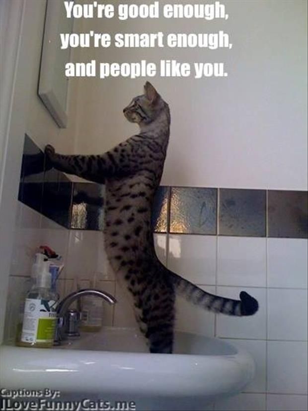 Funny Bathroom Mirror Quotes 201 best mirror, mirror images on pinterest | mirror, mirror Funny Bathroom Mirror Quotes 201 best mirror, mirror images on pinterest | mirror, mirror