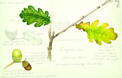 95 best artists lizzie harper images on pinterest 95 best artists lizzie harper images on pinterest