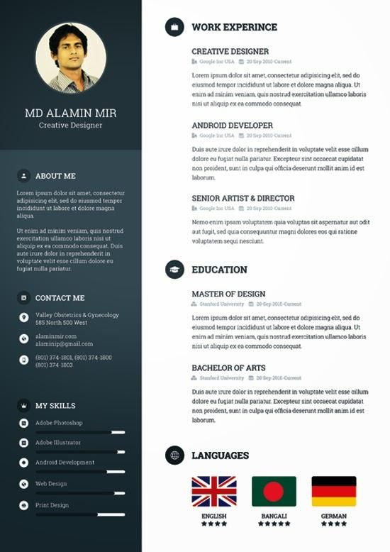 formatos cv