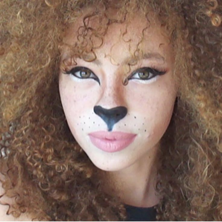 Easy Cat Makeup Tutorials Purrfect Easy Cat Makeup Tutorials Purrfect