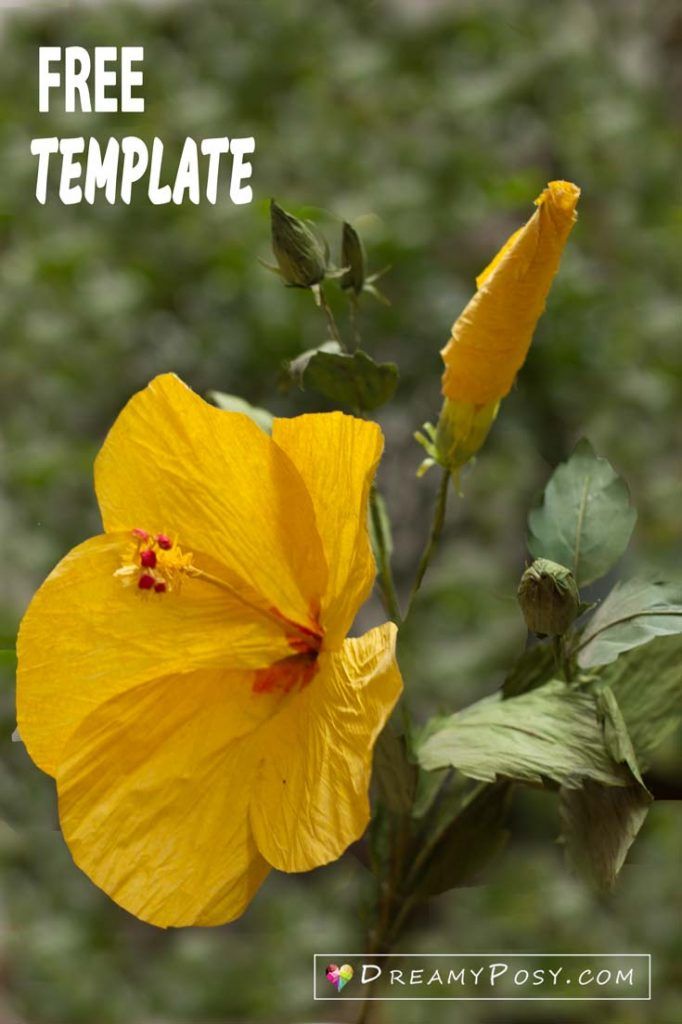 how to make hibiscus paper flower with free templates easy to