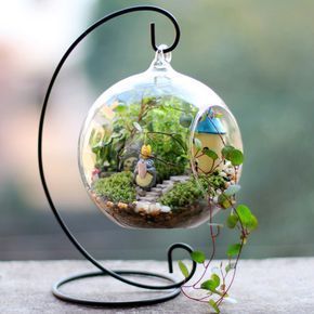 Terrarium Vase Australia Best Decoration 2018 Gl Terrarium Etsy