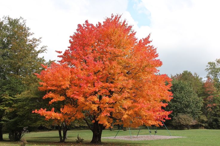 maple shade single catholic girls Online dating for catholics with more catholic singles than any other catholic dating site new jersey diocese of camden catholic men maple shade. maple shade single catholic girls Online dating for catholics with more catholic singles than any other catholic dating site new jersey diocese of camden catholic men maple shade.