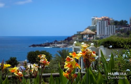 The Cliff Bay Hotel Madeira Thomson The Cliff Bay Hotel Madeira Thomson
