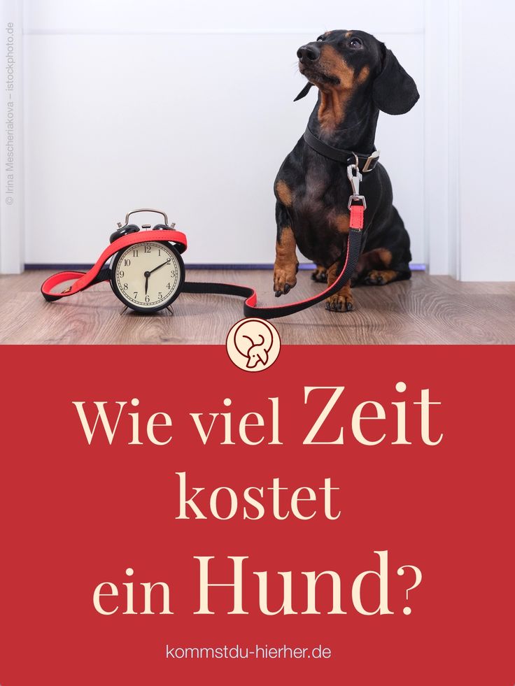 Wie Viel Kostet Ein PГ¤ckchen Wie Viel Kostet Ein PГ¤ckchen