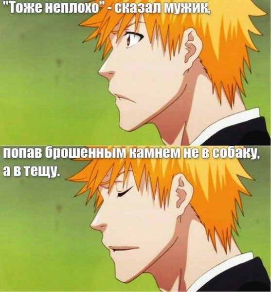 Приколы блича в картинках, отправить