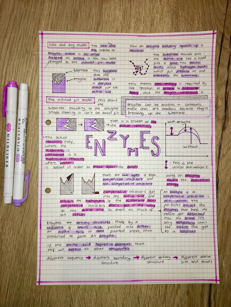 Exam Notes! 🌙 | Biochemistry notes; Biology notes; Science notes