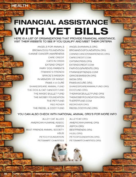 A list of Organizations that offer Vet Bill Assistance! Because Sugar Gliders ca...