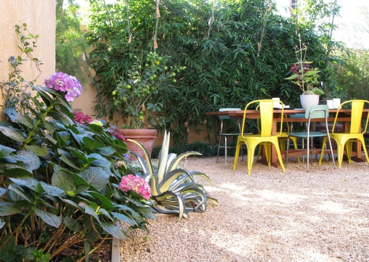 loose dg patio love the chairs backyard landscapingbackyard ideasthe chair lawnpatiosbackyard - Garden Ideas To Replace Grass loose dg patio love the chairs backyard landscapingbackyard ideasthe chair lawnpatiosbackyard - Garden Ideas To Replace Grass