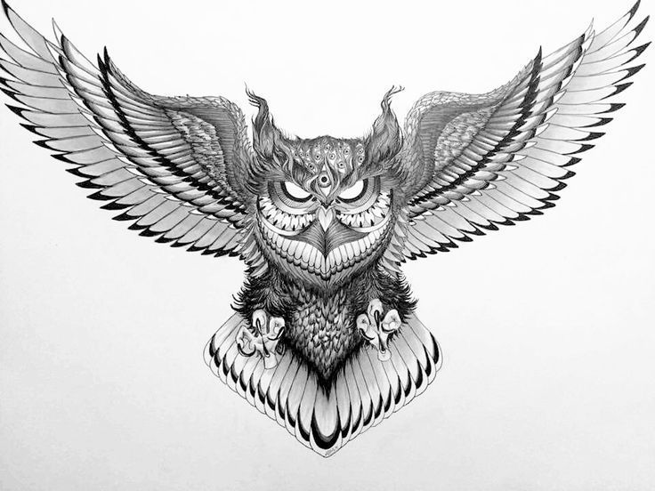 9 Sketsa tato ideas | sketsa tato, sketsa, tato burung hantu