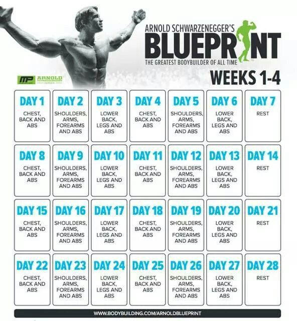 54 best Fitness images on Pinterest Fitness motivation, Health and - new arnold blueprint ebook 54 best Fitness images on Pinterest Fitness motivation, Health and - new arnold blueprint ebook
