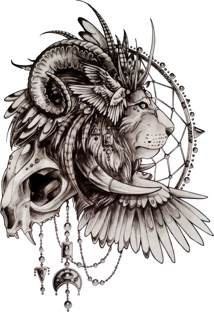 tiger tattoo designs pictures symbolism best 25 tribal lion tattoo ideas only on pinterest lion tattoo tiger tattoo designs pictures symbolism best 25 tribal lion tattoo ideas only on pinterest lion tattoo