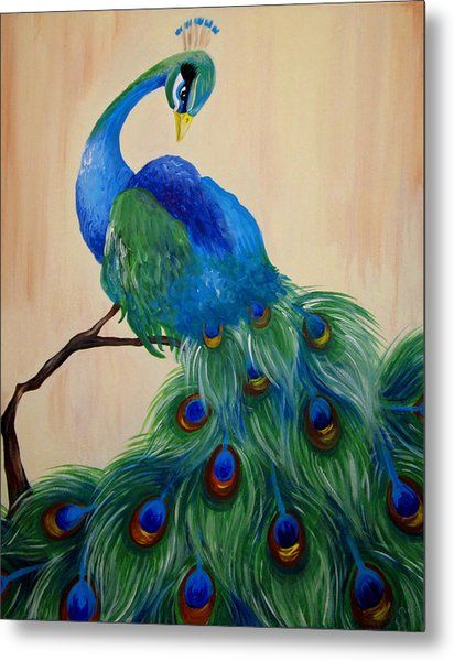 Peacock Metal Print Peacock Metal Print