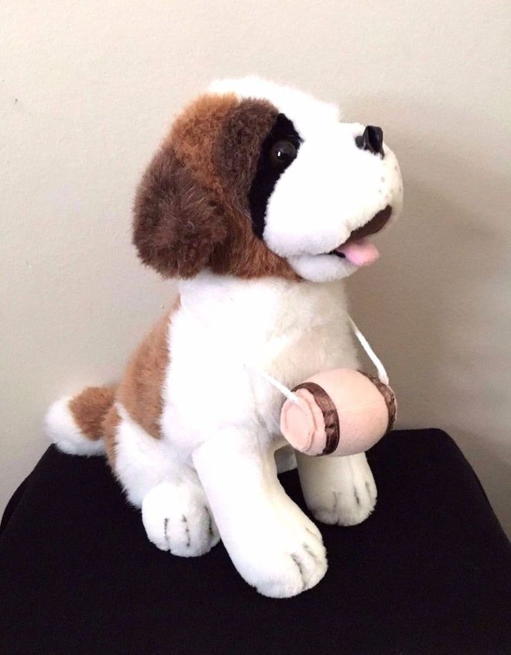 St Bernard Dogs For Sale In Los Angeles St Bernard Dogs For Sale In Los Angeles