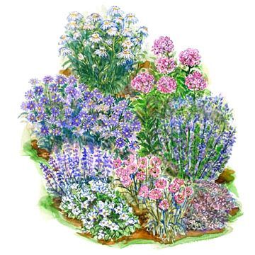 Small Flower Garden Ideas flower garden ideas and designsracetotopcom Create A Cooling Effect During Hot Summer Days With This Beautiful Small Garden Plan Http Small Flower Garden Ideas flower garden plans i flower garden plans and designs Create A Cooling Effect During Hot Summer Days With This Beautiful Small Garden Plan Http