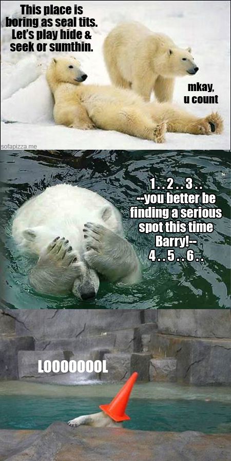 42 best polar bear images on pinterest wild animals, polar bears dbeea68d2d193ed2193e891b7ca05053 42 best polar bear images on pinterest wild animals, polar bears