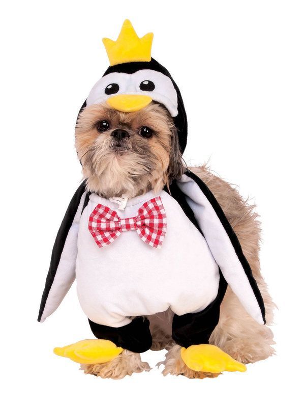 Check Out Walking Penguin Costume For Pet Dog And Cat Costumes