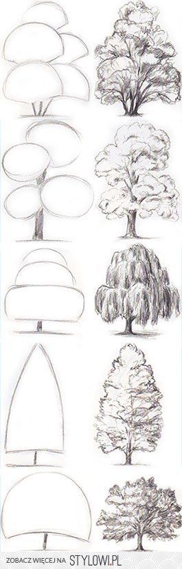 Architecture Drawing Of Trees best 25+ tree drawings ideas on pinterest | trees drawing tutorial Architecture Drawing Of Trees best 25+ tree drawings ideas on pinterest | trees drawing tutorial