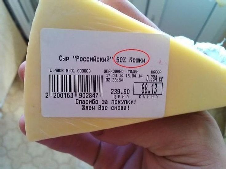 Смешные картинки сыров, про