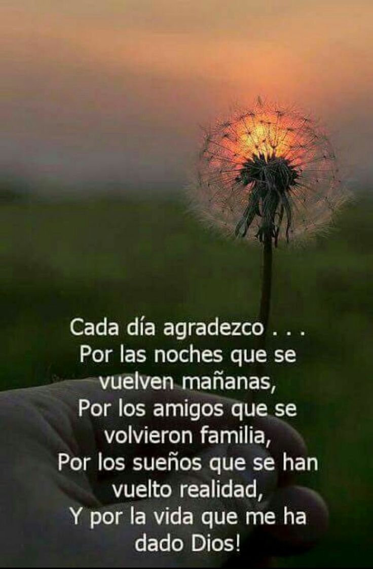 Más de 25 ideas increbles sobre Frases cortas sobre la familia en Frases de Motivacion