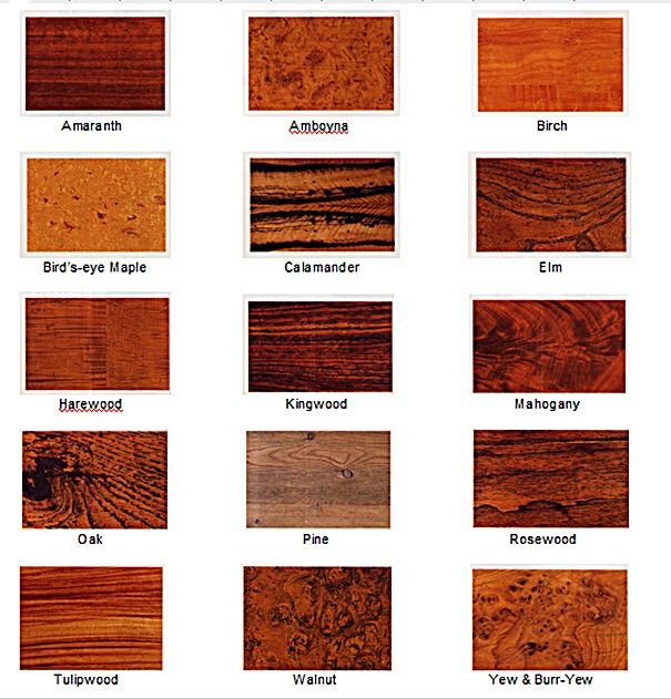 Familiarity With Tree Types And Wood Grain Is One Of The Most Important Skills Of Woodworking Woodworking Projects Diy Types Of Timber Woodworking