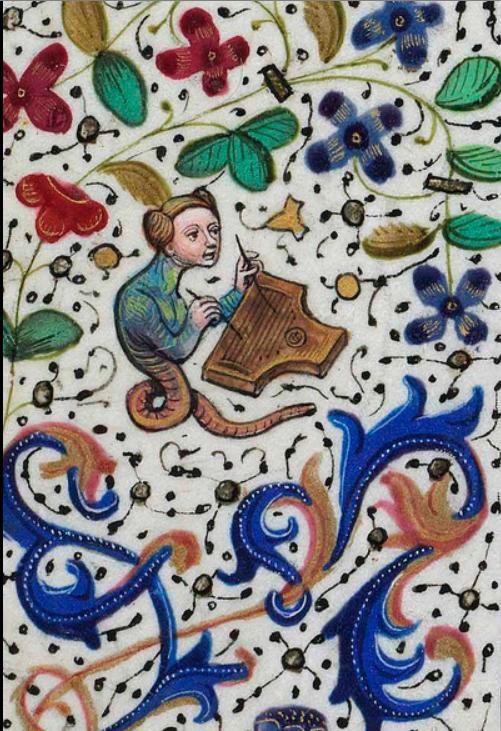 Image result for medieval manuscript idiot