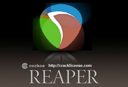 Girder 6.0.0 Build 78 Final Crack Girder 6.0.0 Build 78 Final Crack