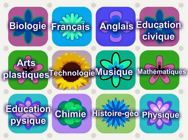 l emploi du temps