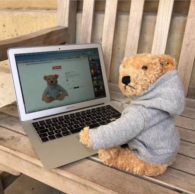Supreme Teddy Bear Box Logo Deals, 51% OFF | www.ipecal.edu.mx