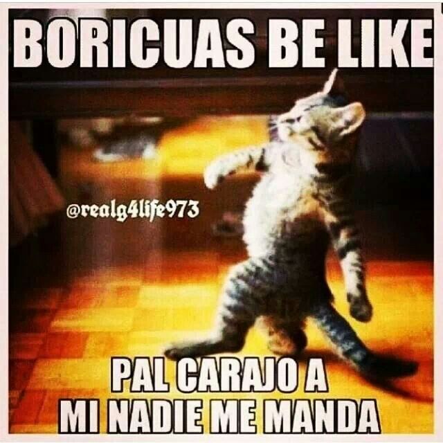 97 best puerto rican be like images on pinterest puerto ricans dc3a8aed59aa28c976a37cd3b9c308a8 puerto rico puerto rican problems 97 best puerto rican be like images on pinterest puerto ricans,Puerto Rican Funny Memes