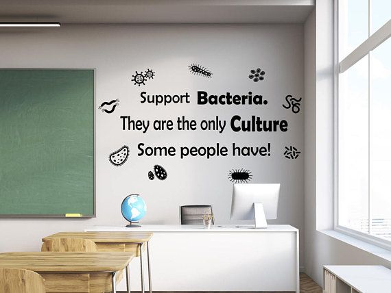 Microbiology Decal Gift Scientist Biology Wall Classroom Decorations Biology Classroom Decorations, Classroom Wall Decoration Ideas For College