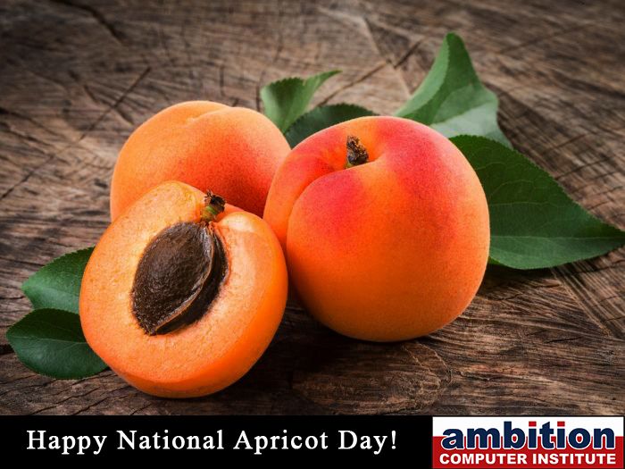 Celebrate National Apricot Day! Did you know that the word ... Celebrate National Apricot Day! Did you know that the word ...