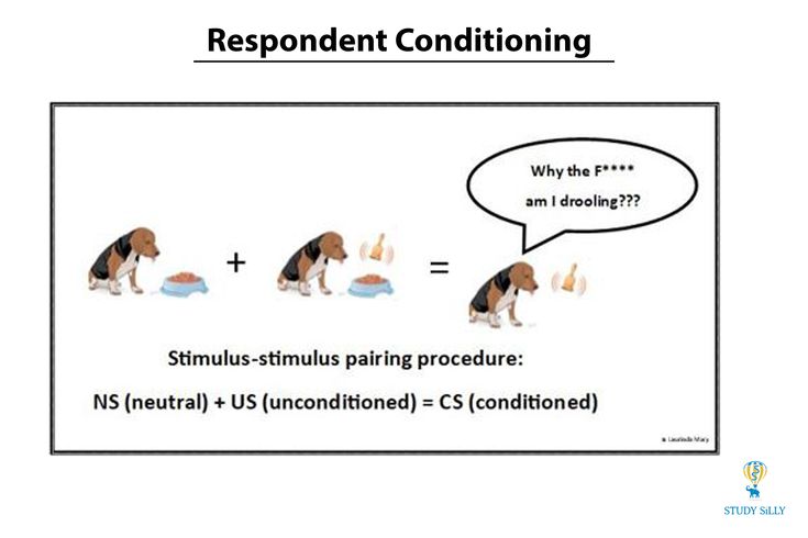 Conditioning Behaviour In Animals conditioning-behaviour-in-animals