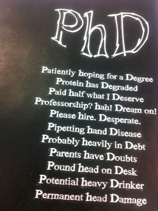 phd meaning jokes