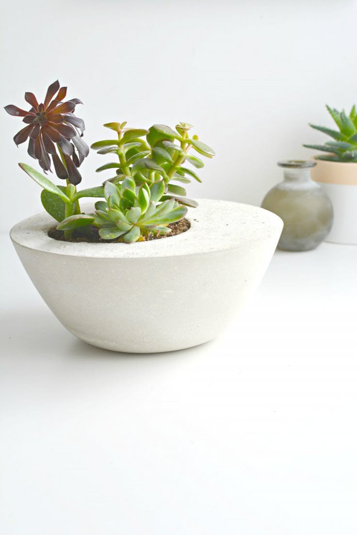 best 25+ concrete pots ideas on pinterest | concrete planters best 25+ concrete pots ideas on pinterest | concrete planters