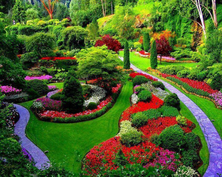 18 Best Awesome Gardens Images On Pinterest Beautiful Buchart Garden Near Victoria Vancouver Island British Columbia Canada I Took My Two Oldest Children Here When They Were Young It Was Wonderful