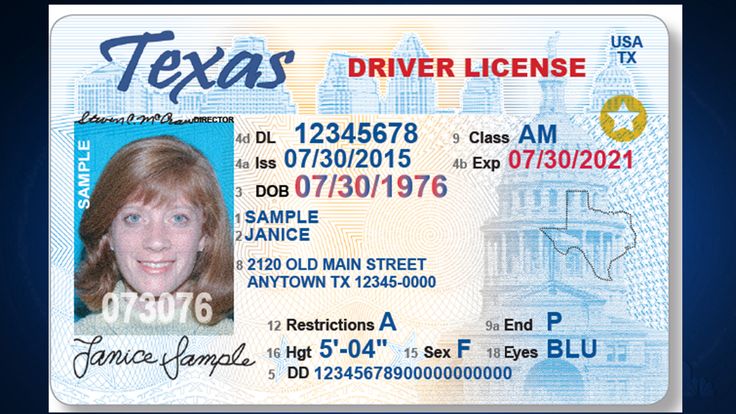 can i make the drivers license online free can i make the drivers license online free