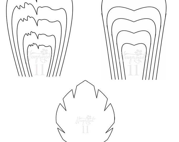 pdf set of 2
