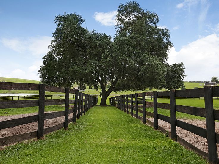 126 best Horse Property Landscaping Ideas images on ... 126 best Horse Property Landscaping Ideas images on