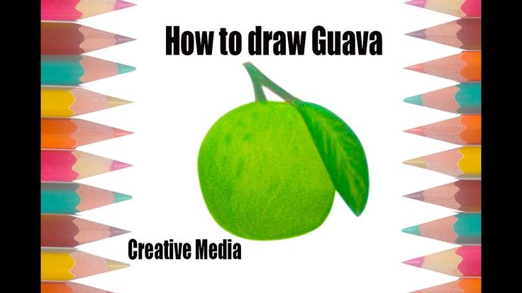 How to drawing Guava in 2019