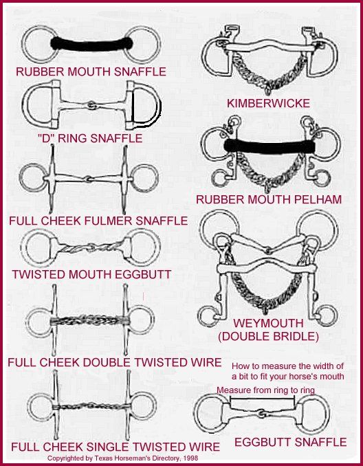 Gypgygold Horse Riding Tips Horse Camp Horse Tack gypgygold-horse-riding-tips-horse-camp-horse-tack