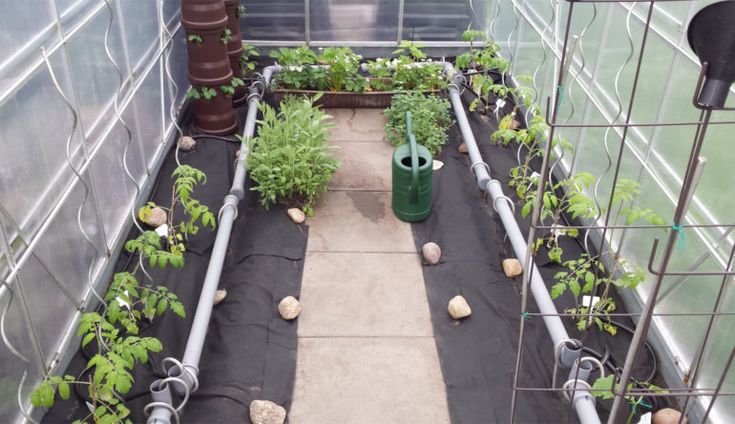 Bewässerungssystem Garten Eigenbau Automatische Bewässerung im Treibhaus – Marke Eigenbau | Gewächs